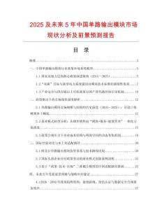2025及未來5年中國單路輸出模塊市場現(xiàn)狀分析及前景預(yù)測報(bào)告