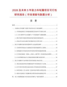 2026及未來5年助力車輪圈項目可行性研究報告（市場調查與數據分析）