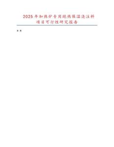 2025年加熱爐專用絕熱保溫澆注料項目可行性研究報告