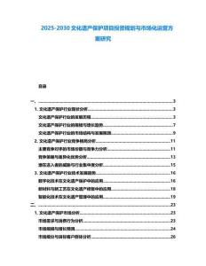 2025-2030文化遺產(chǎn)保護項目投資規(guī)劃與市場化運營方案研究