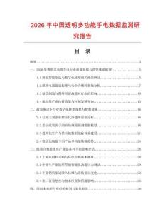 2026年中國透明多功能手電數據監測研究報告