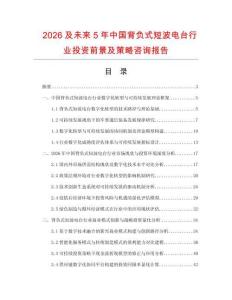 2026及未來5年中國背負式短波電臺行業(yè)投資前景及策略咨詢報告