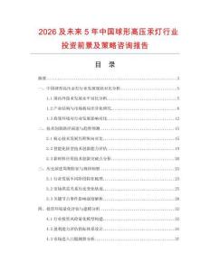 2026及未來5年中國球形高壓汞燈行業投資前景及策略咨詢報告