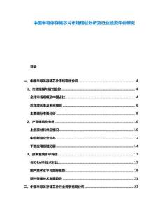 中國半導體存儲芯片市場現狀分析及行業投資評估研究
