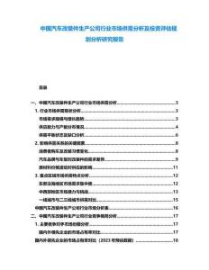 中國汽車改裝件生產(chǎn)公司行業(yè)市場供需分析及投資評估規(guī)劃分析研究報(bào)告