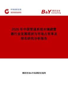 2026年中國管道系統(tǒng)水錘避雷器行業(yè)發(fā)展現(xiàn)狀與市場占有率及排名研究分析報告
