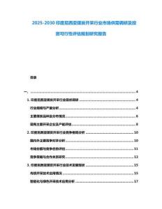 2025-2030印度尼西亞煤炭開采行業市場供需調研及投資可行性評估規劃研究報告