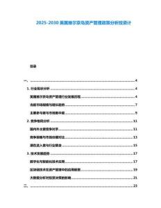 2025-2030英屬維爾京島資產管理政策分析投資計
