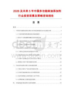 2026及未來5年中國多功能柴油添加劑行業投資前景及策略咨詢報告