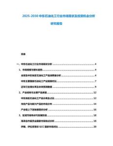 2025-2030中東石油化工行業市場現狀及投資機會分析研究報告