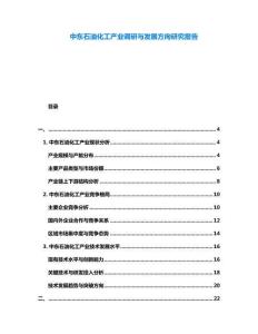 中東石油化工產業調研與發展方向研究報告