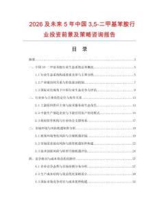 2026及未來5年中國35-二甲基苯胺行業(yè)投資前景及策略咨詢報告