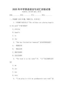 2025年中學英語語法與詞匯訓(xùn)練試卷