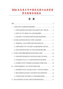 2026及未來5年中國發(fā)光漆行業(yè)投資前景及策略咨詢報告