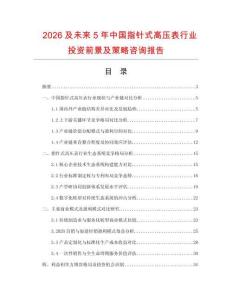 2026及未來5年中國指針式高壓表行業(yè)投資前景及策略咨詢報告