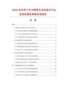 2026及未來5年中國穿孔活動扳手行業投資前景及策略咨詢報告
