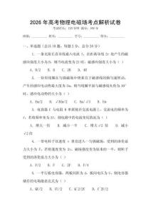 2026年高考物理電磁場考點解析試卷