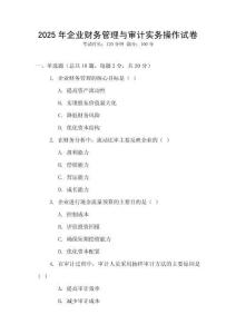 2025年企業財務管理與審計實務操作試卷