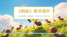 2025-2026學(xué)年人教鄂教版（新教材）小學(xué)科學(xué)二年級下冊《螞蟻》教學(xué)課件