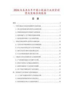 2026及未來(lái)5年中國(guó)小艙蓋行業(yè)投資前景及策略咨詢報(bào)告