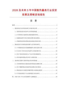2026及未來5年中國散熱量表行業投資前景及策略咨詢報告