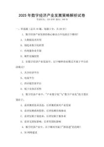 2025年數字經濟產業發展策略解析試卷