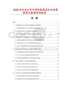 2026及未來5年中國衣服花邊行業投資前景及策略咨詢報告