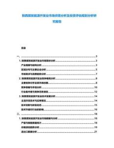 陜西煤炭能源開發業市場供需分析及投資評估規劃分析研究報告
