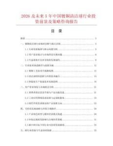 2026及未來5年中國鍍銅清潔球行業(yè)投資前景及策略咨詢報(bào)告