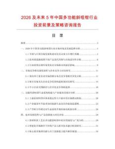 2026及未來5年中國多功能斜咀鉗行業投資前景及策略咨詢報告