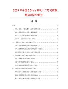 2025年中國6.5mm束狀十二芯光纜數據監測研究報告