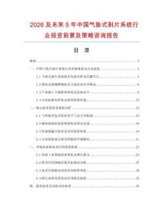 2026及未來5年中國氣墊式剝片系統行業投資前景及策略咨詢報告