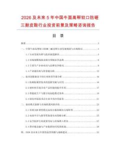 2026及未來5年中國牛面高幫軟口防砸三耐皮鞋行業投資前景及策略咨詢報告