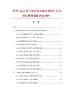 2026及未來(lái)5年中國(guó)半圓壓膠槍行業(yè)投資前景及策略咨詢報(bào)告