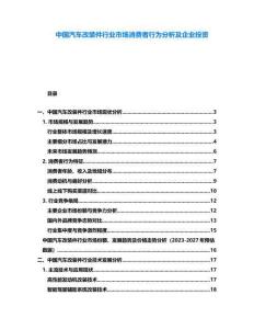 中国汽车改装件行业市场消费者行为分析及企业投资