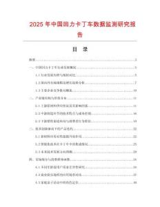 2025年中國回力卡丁車數(shù)據(jù)監(jiān)測研究報告