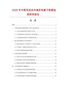 2025年中國(guó)雙組份外墻彩色膩?zhàn)訑?shù)據(jù)監(jiān)測(cè)研究報(bào)告