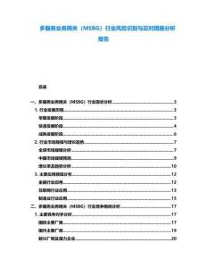多服務業務網關（MSBG）行業風險識別與應對措施分析報告