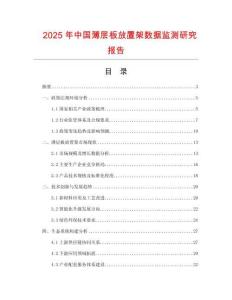 2025年中國薄層板放置架數據監測研究報告