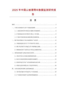 2025年中國山坡滑翔傘數據監測研究報告