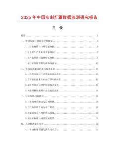 2025年中國布制燈罩數據監測研究報告