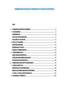 中國航空航天密封技術發展現狀與市場機會研究報告