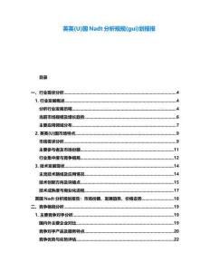 英英(U)國Nadt分析規規(gui)劃報報