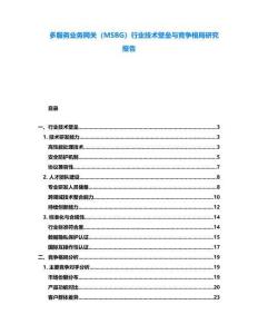 多服務業務網關（MSBG）行業技術壁壘與競爭格局研究報告