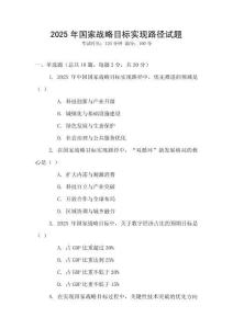 2025年国家战略目标实现路径试题