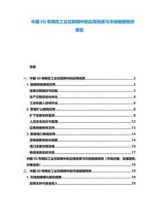 中國5G專網在工業互聯網中的應用場景與市場規模預測報告