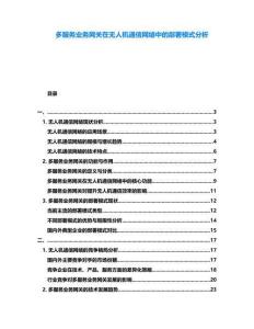 多服務(wù)業(yè)務(wù)網(wǎng)關(guān)在無(wú)人機(jī)通信網(wǎng)絡(luò)中的部署模式分析