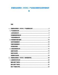多服務(wù)業(yè)務(wù)網(wǎng)關(guān)（MSBG）產(chǎn)業(yè)鏈全景解析及競(jìng)爭(zhēng)格局評(píng)估