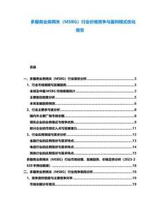 多服務業務網關（MSBG）行業價格競爭與盈利模式優化報告