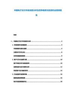 中國(guó)電子支付市場(chǎng)深度分析及競(jìng)爭(zhēng)格局與投資機(jī)會(huì)預(yù)測(cè)報(bào)告